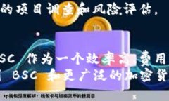 imToken 有 BSC 钱包吗？全面