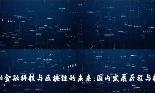 揭秘金融科技与区块链的未来：国内发展历程与挑战