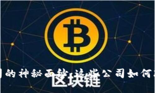 揭开区块链金融公司的神秘面纱：这些公司如何改变未来的财务世界