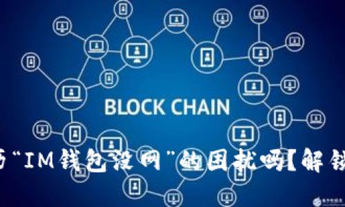 你也曾经历“IM钱包没网”的困扰吗？解锁解决方案！
