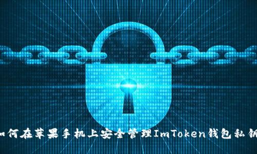 如何在苹果手机上安全管理ImToken钱包私钥？