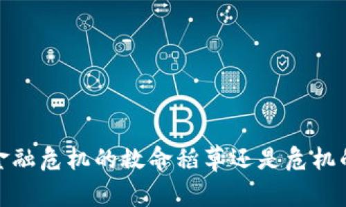 区块链：金融危机的救命稻草还是危机的催化剂？