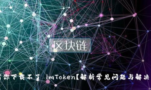 为何你下载不了 imToken？解析常见问题与解决方案