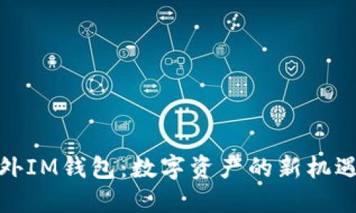 探索海外IM钱包：数字资产的新机遇与挑战