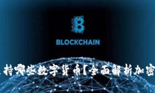 Im钱包支持哪些数字货币？全面解析加密资产选择