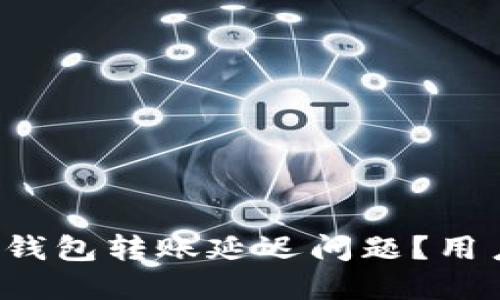 如何处理ImToken钱包转账延迟问题？用户必看的解决指南！