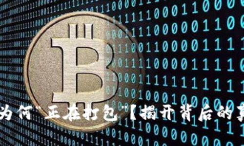 : IM钱包转币为何“正在打包”？揭开背后的真相与解决方案