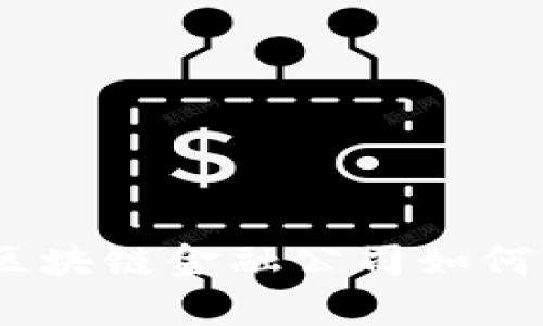 探索新加坡龙网：区块链金融公司如何重塑未来财富管理