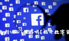 ImToken钱包支持USDT储存吗？