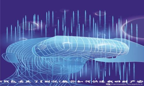 IM钱包丢失了？别慌！教你如何快速找回财产安全