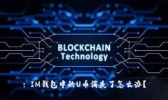 : IM钱包中的U币消失了怎么