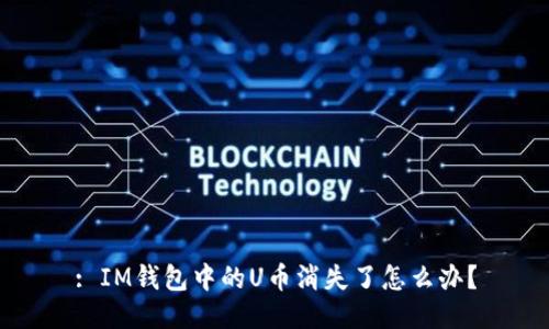 : IM钱包中的U币消失了怎么办？