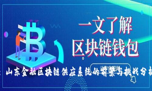 : 山东金融区块链供应系统的前景与挑战分析