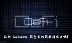 假的 imToken 钱包里的钱能