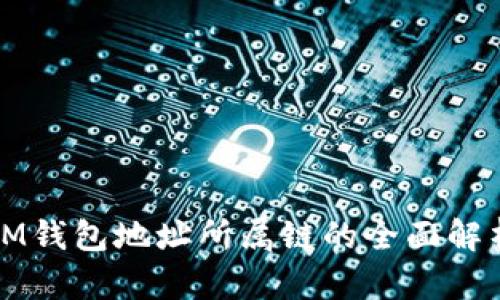 IM钱包地址所属链的全面解析