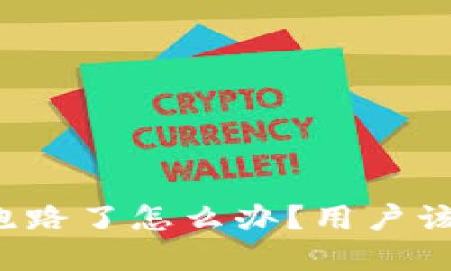 IMTOKEN钱包跑路了怎么办？用户该如何保护资产？