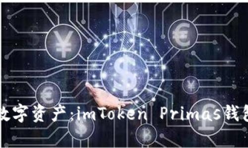 完美掌控数字资产：imToken Primas钱包全面解析
