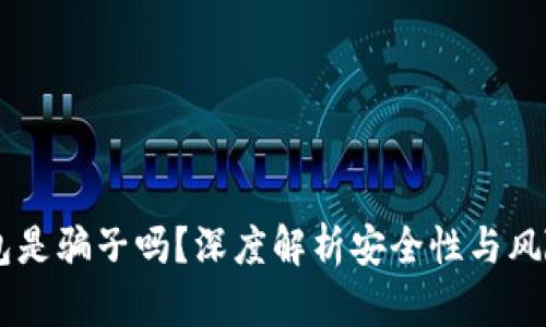 IM钱包是骗子吗？深度解析安全性与风险提示