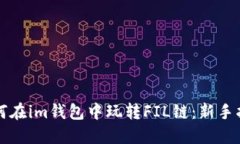 如何在im钱包中玩转FIL链：