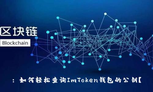 : 如何轻松查询ImToken钱包的公钥？