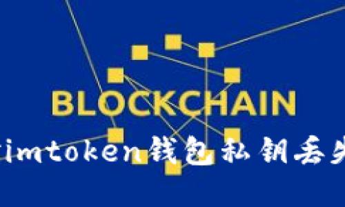 如何应对imtoken钱包私钥丢失的问题？